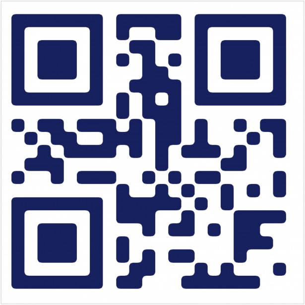 Возможность сканирования штрихкодов и QR-кодов, фото №2